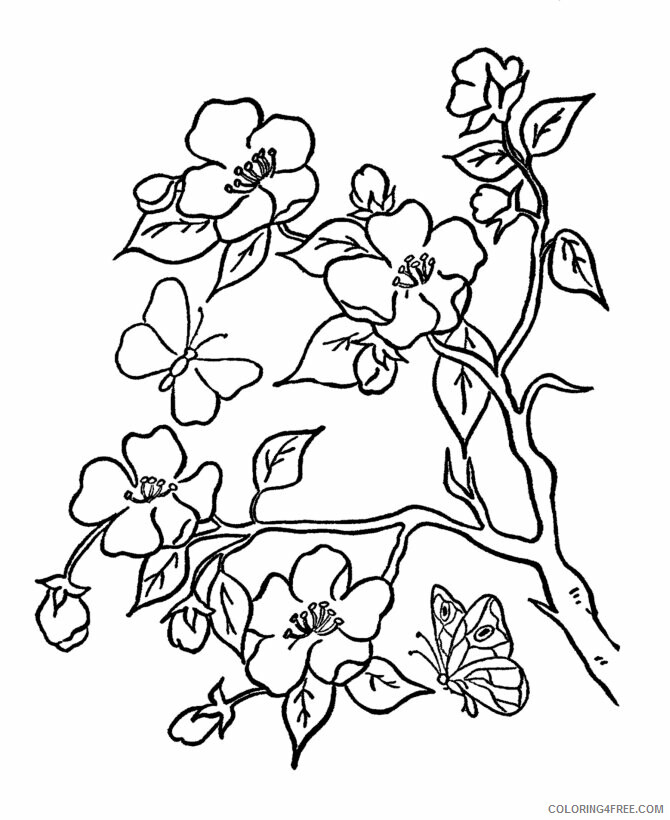 Adult Coloring Pages Flowers Printable Sheets Summer Flower Flowers 2021 a 1946 Coloring4free