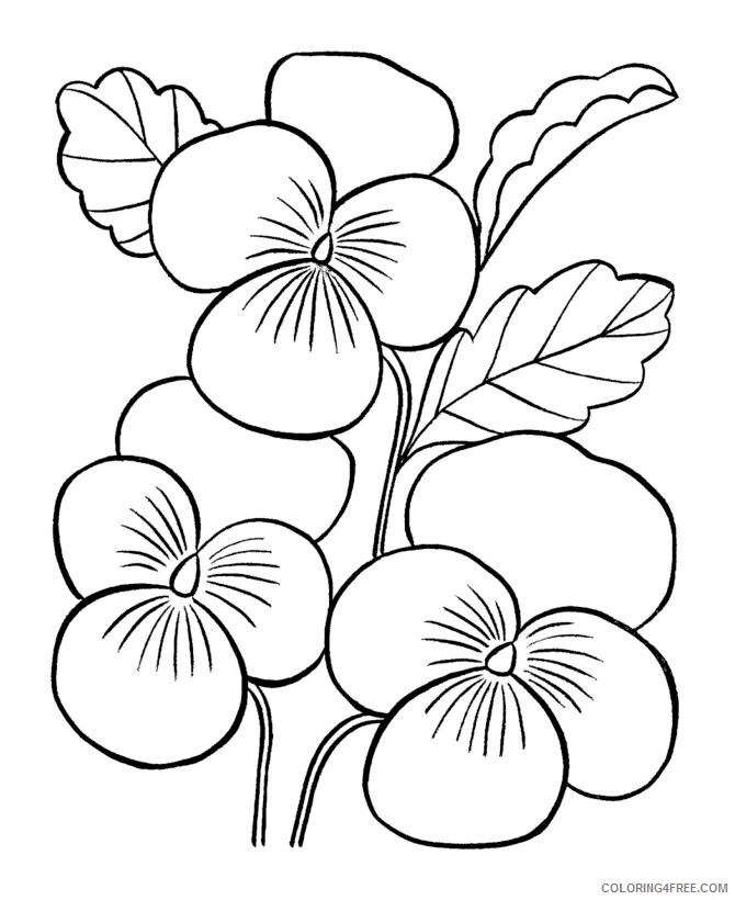 Adult Coloring Pages Flowers Printable Sheets adult flowers jpg 2021 a 1924 Coloring4free