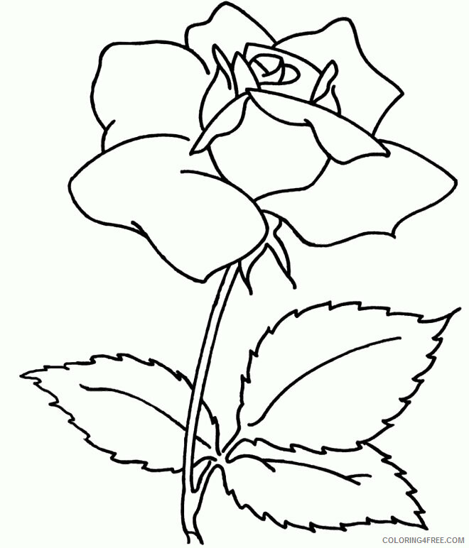 Adult Coloring Pages Flowers Printable Sheets flowers for adults Colouring Pages 2021 a 1937 Coloring4free
