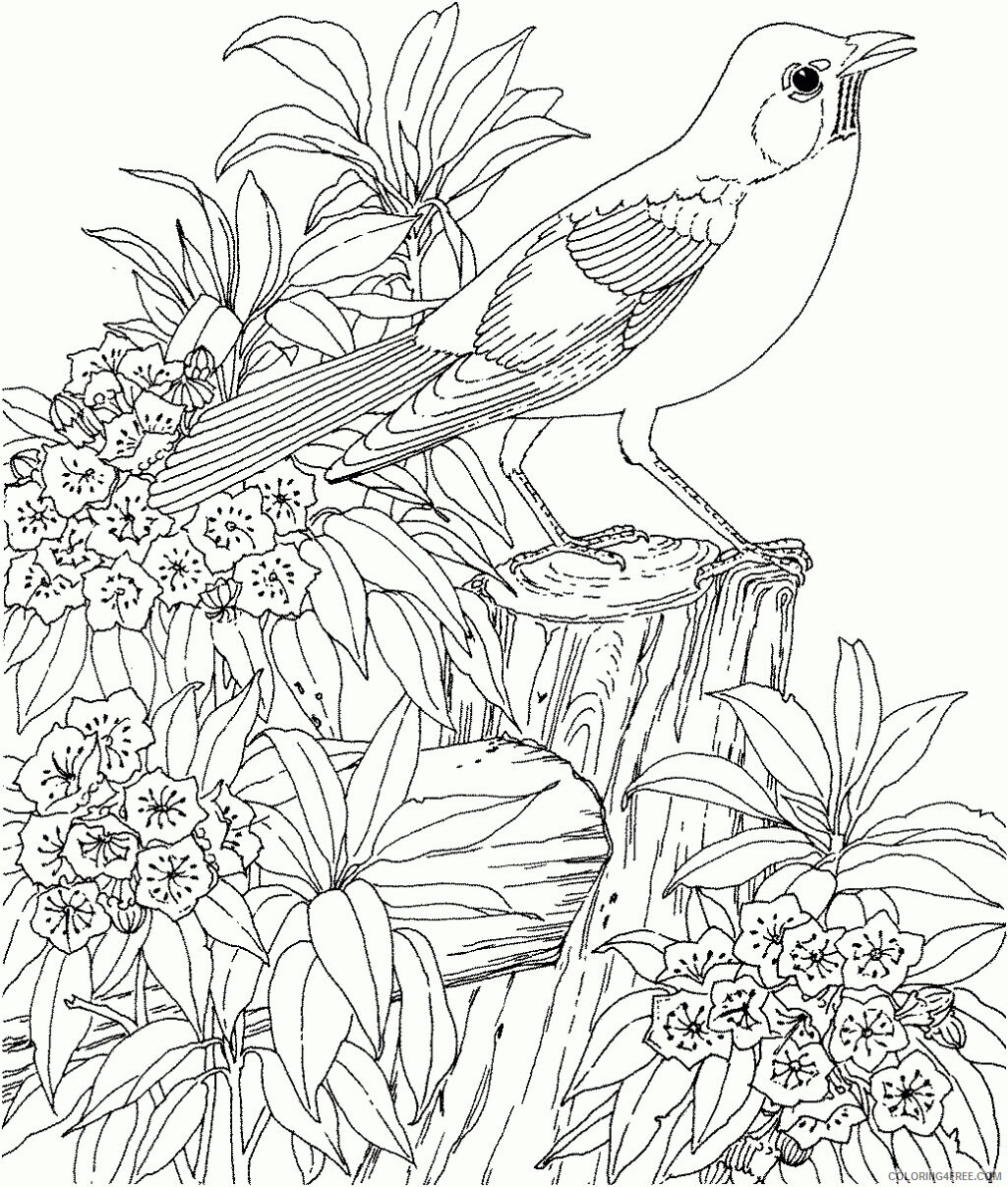 Adult Coloring Pages Landscapes Printable Sheets For Adults Nature 2021 a 1974 Coloring4free