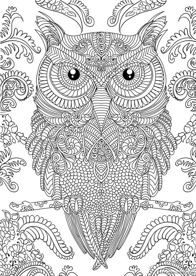 Adult Coloring Pages Paisley Printable Sheets Best Adult Books — 2021 a 2064 Coloring4free