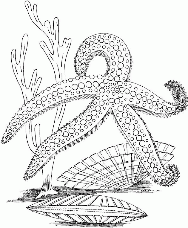 Adult Coloring Pages Printable Sheets Adult Pages 2021 a 1859 Coloring4free