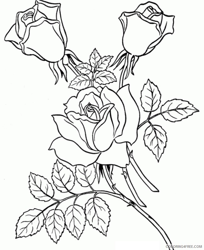 Adult Coloring Pages Printable Sheets Awesome for Adults 2021 a 1864 Coloring4free