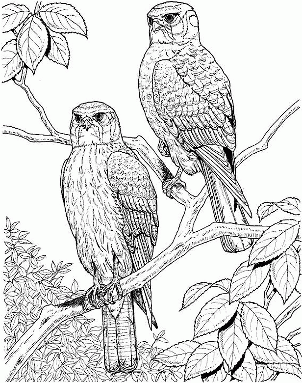 Adult Coloring Pages Printable Sheets Sheets For Adults Free 2021 a 1869 Coloring4free