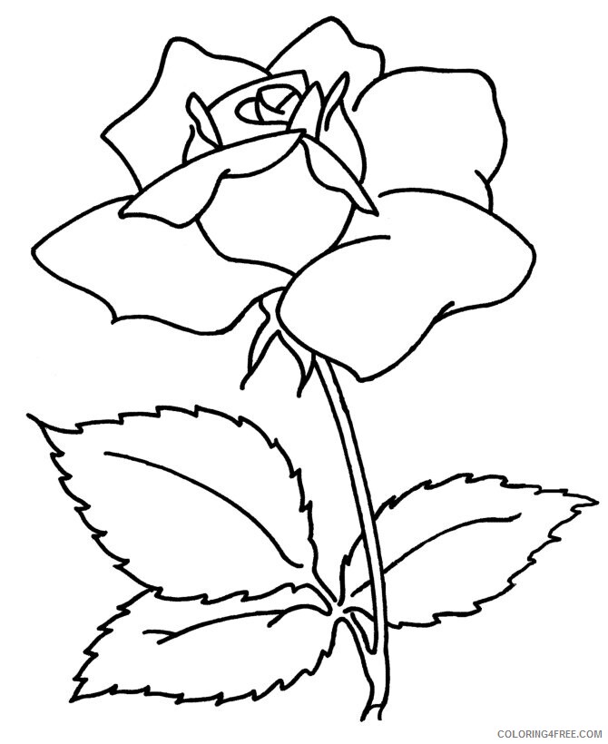 Adult Flower Coloring Pages Printable Sheets barbie dancing princesses pages 2021 a 2183 Coloring4free