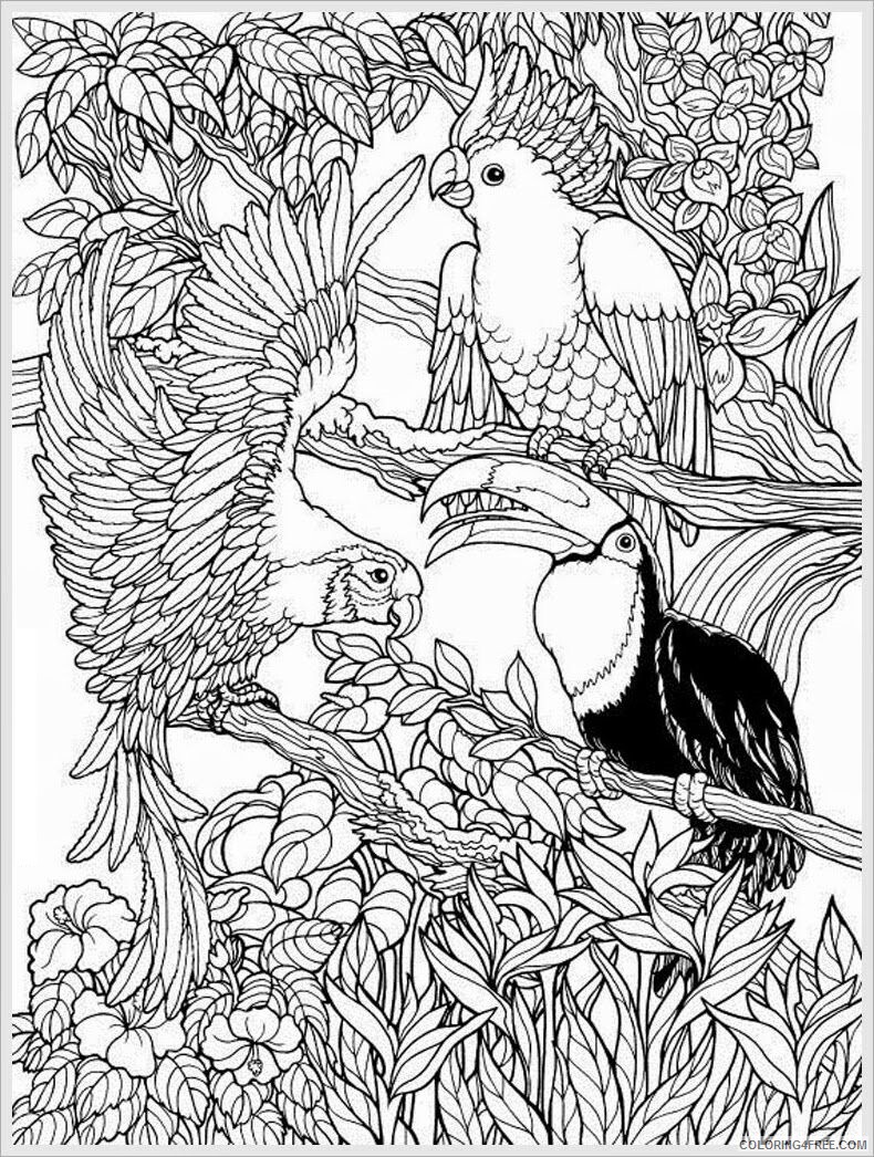 Adult Only Coloring Pages Printable Sheets Free Printable For 2021 a 2254 Coloring4free