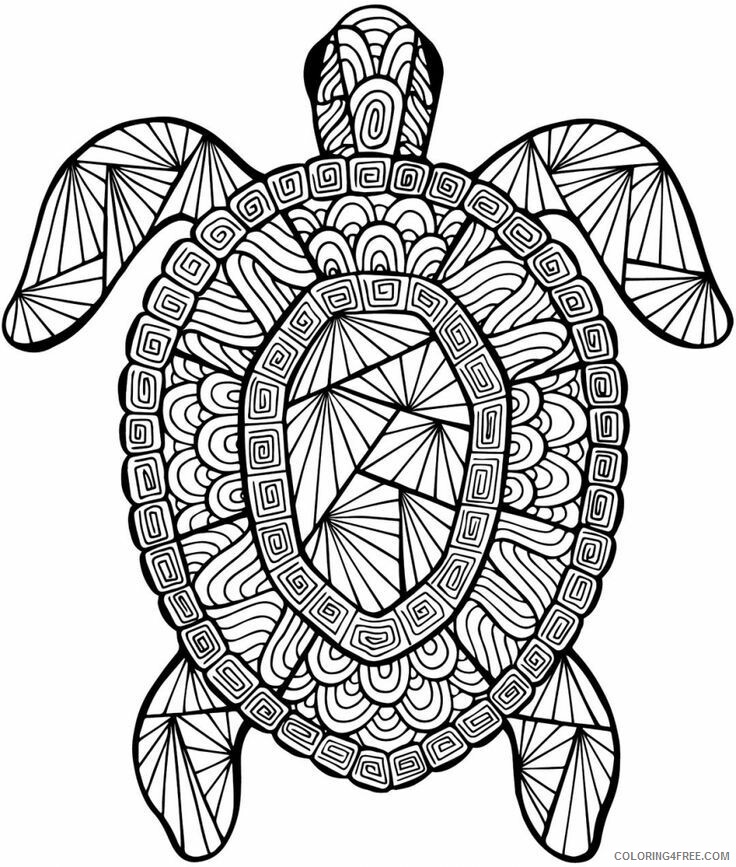 Advanced Coloring Pages of Animals Printable Sheets 3484 2021 a 2402 Coloring4free