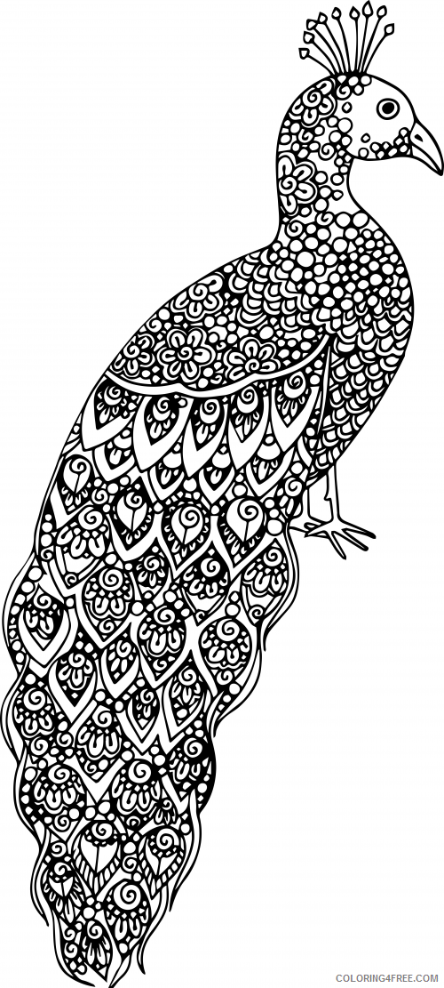 Advanced Coloring Pages of Animals Printable Sheets Advanced Animal Page 19 2021 a 2388 Coloring4free