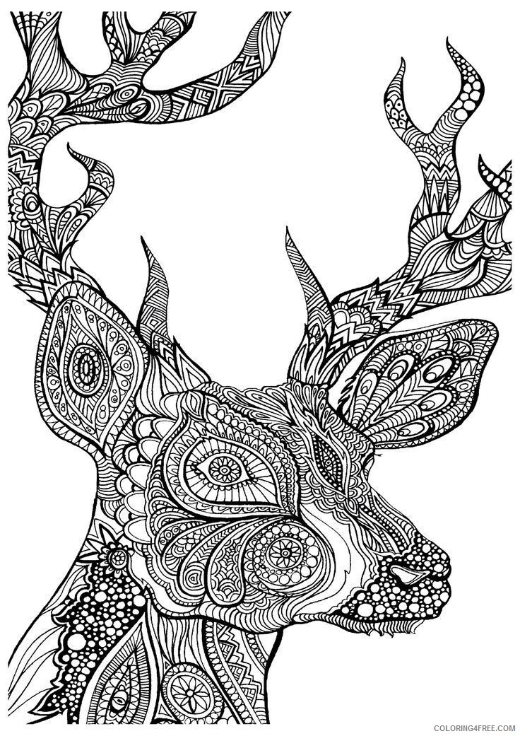Advanced Coloring Pages of Animals Printable Sheets Advanced Animals High 2021 a 2389 Coloring4free