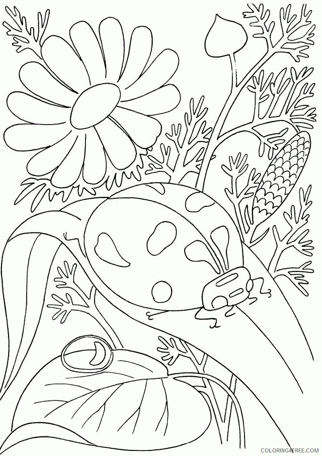 Advanced Flower Coloring Pages Printable Sheets Get Your Advanced 2021 a 2439 Coloring4free