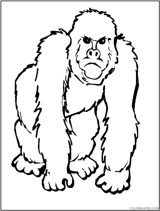 Africa Coloring Pages for Kids Printable Sheets Gorilla Page 19 African 2021 a 2725 Coloring4free