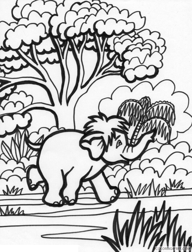 African Animals Coloring Pages Printable Sheets Rainforest Animals Coloring 2021 a 2783 Coloring4free