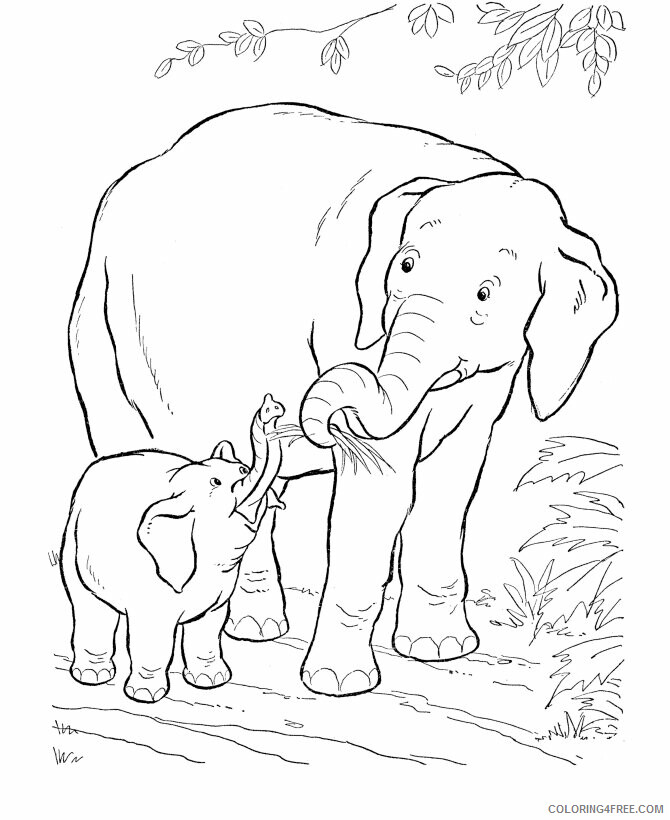 African Animals Coloring Pages Printable Sheets penguin jpg 2021 a 2782 Coloring4free