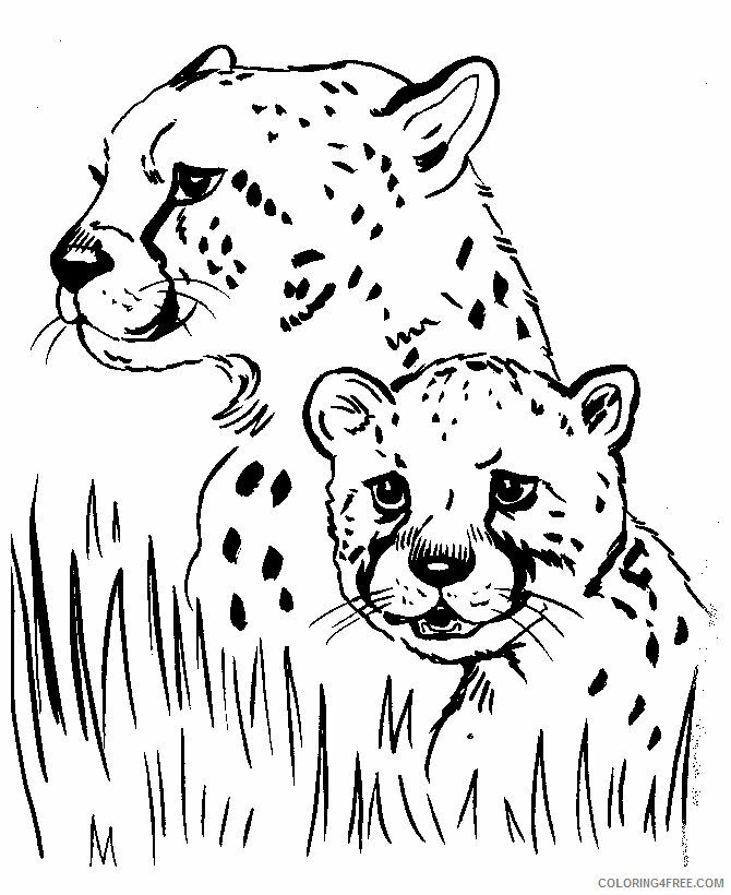 African Animals Coloring Pages Printable Sheets sea animal – 2021 a 2787 Coloring4free