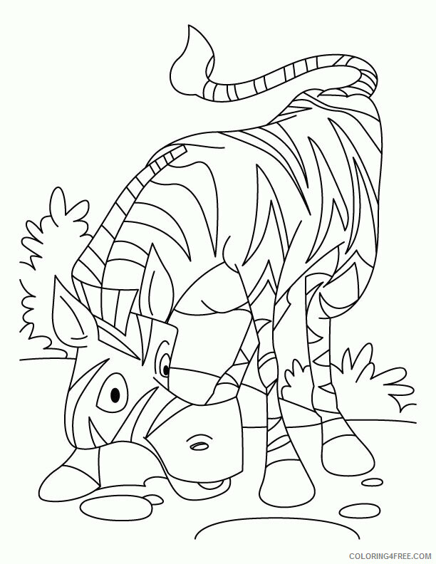 African Coloring Pages Printable Sheets African zebra Download 2021 a 2796 Coloring4free