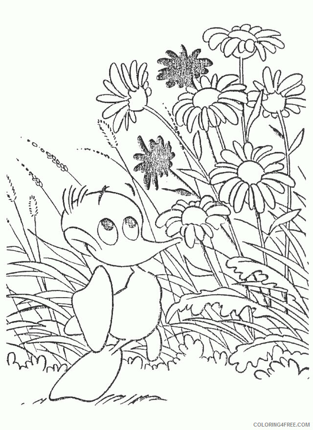 Alfred Jodocus Kwak Coloring Pages Printable Sheets Kids n fun com All 2021 a 3488 Coloring4free