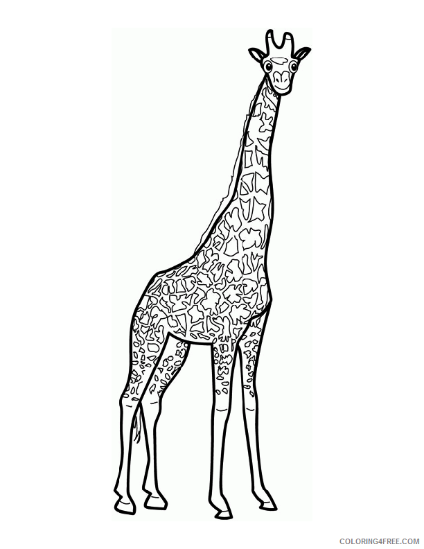 All About Giraffes for Kids Printable Sheets Giraffe ColoringMates png 2021 a 3862 Coloring4free