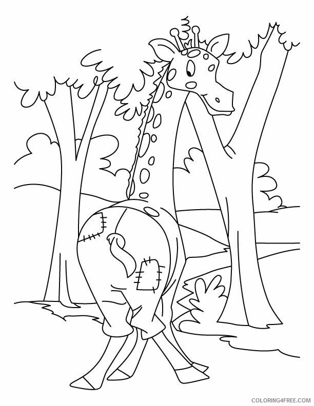 All About Giraffes for Kids Printable Sheets Giraffe and Book 2021 a 3851 Coloring4free
