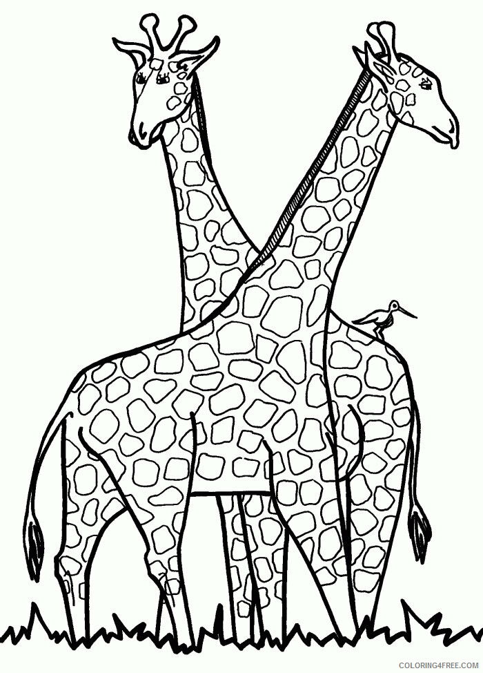 All About Giraffes for Kids Printable Sheets Page Giraffe Printable Coloring 2021 a 3848 Coloring4free