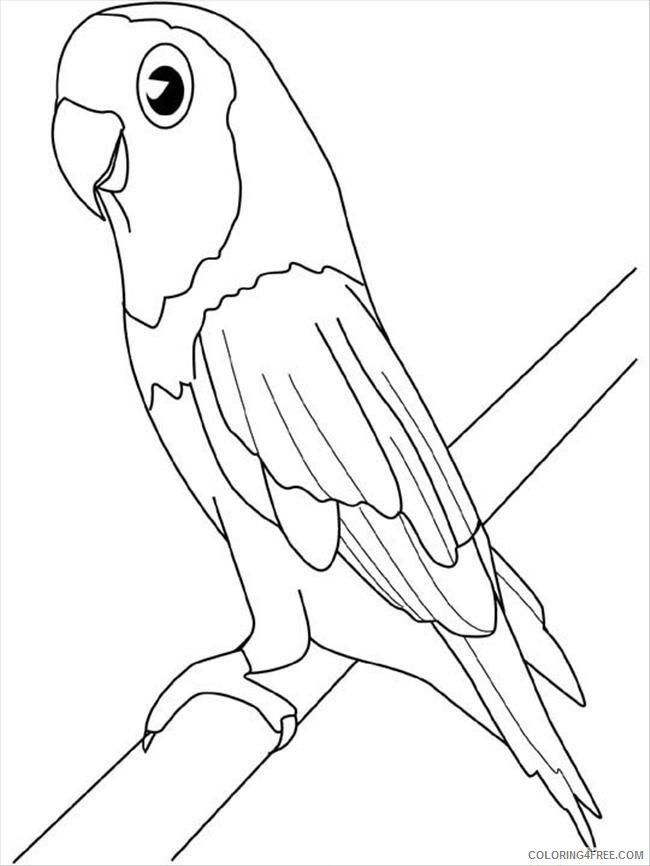 All About Parrots for Kids Printable Sheets Parakeet Birds Parrots 2021 a 3913 Coloring4free