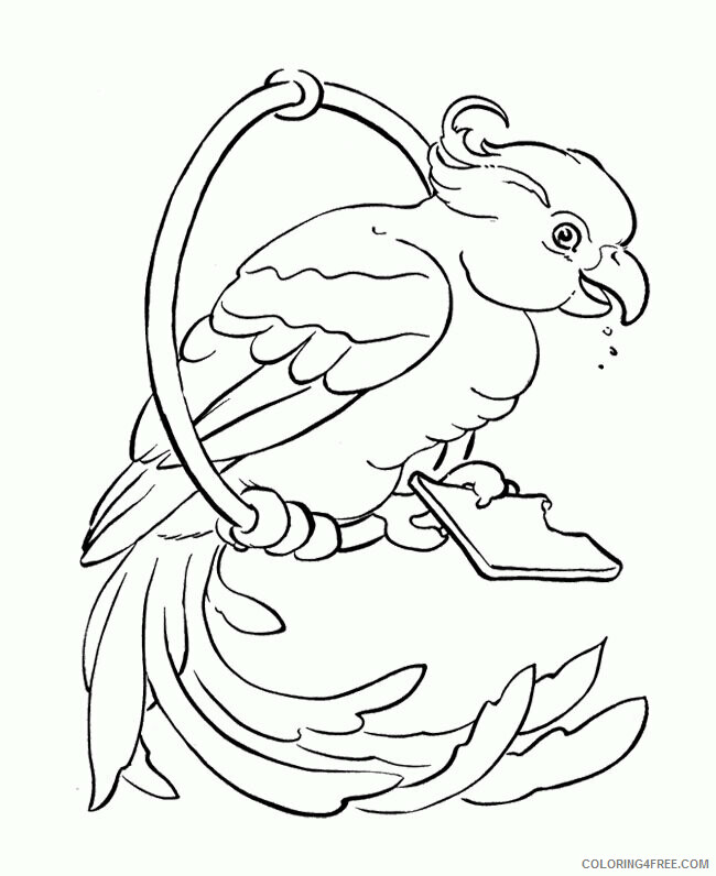 All About Parrots for Kids Printable Sheets big parrots Colouring page 2021 a 3911 Coloring4free