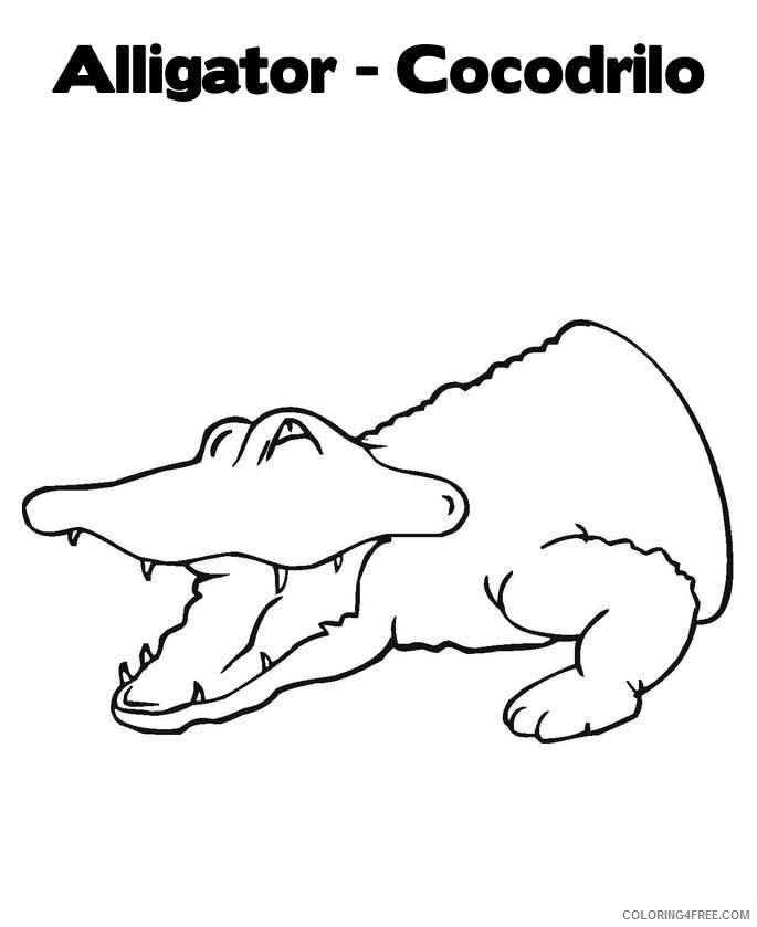 Alligator Color Page Printable Sheets alligator puppet Colouring page 2021 a 4297 Coloring4free