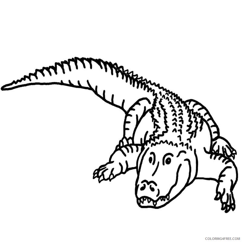 Alligator Color Printable Sheets Alligator Bw Amphibians 2021 a 4287 Coloring4free