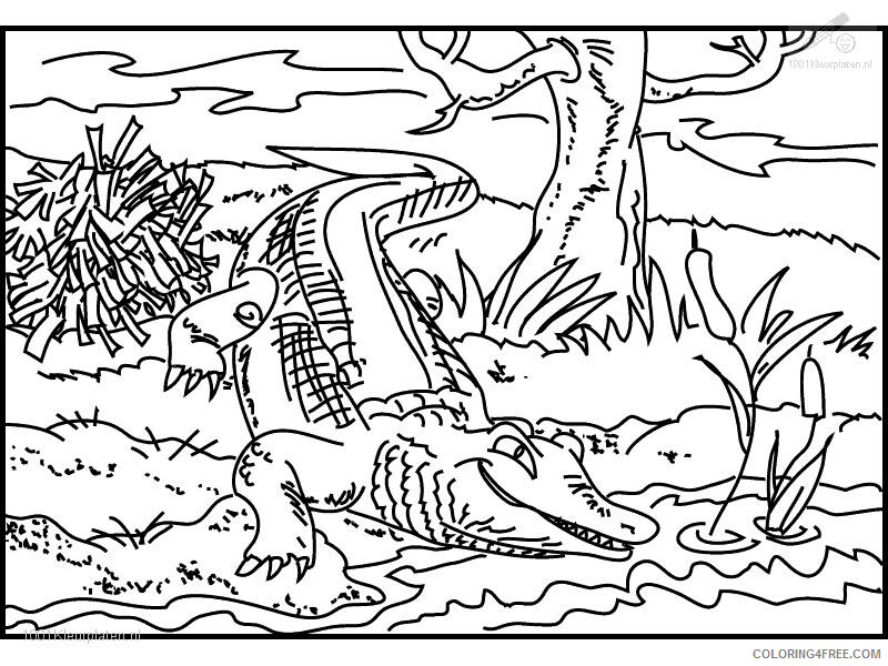 Alligator Coloring Sheets Printable Sheets Crocodile Animal For 2021 a 4342 Coloring4free