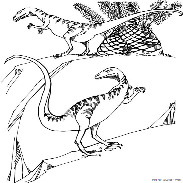 Allosaurus Coloring Pages Printable Sheets Compsognathus png 2021 a 4372 Coloring4free