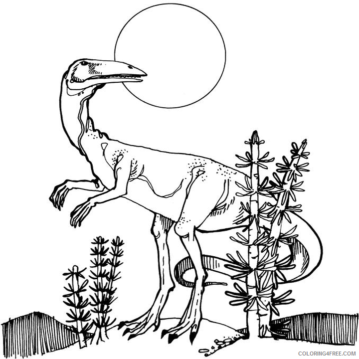 Allosaurus Coloring Pages Printable Sheets Dinosaur 1 png 2021 a 4373 Coloring4free