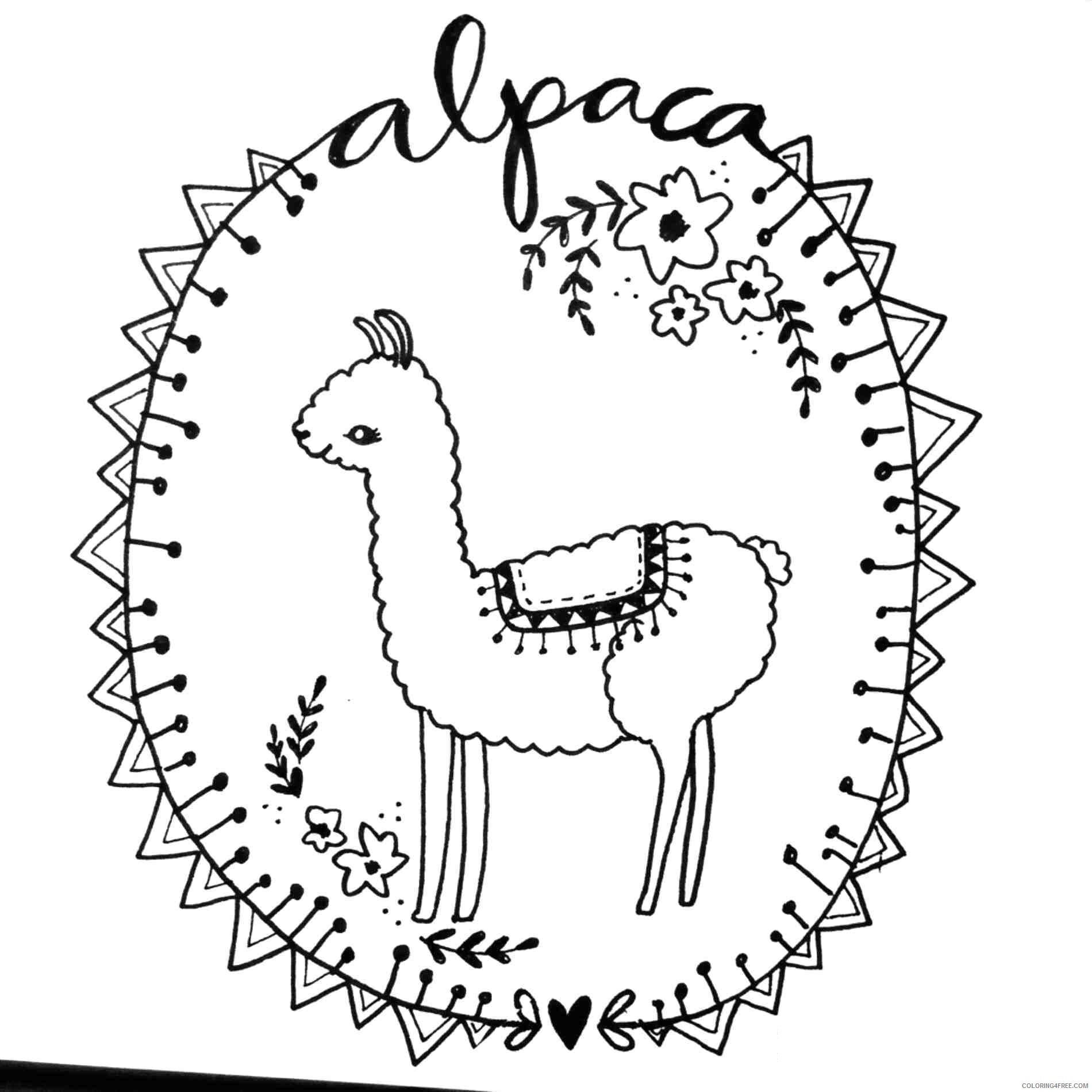 Alpaca Coloring Pages Printable Sheets Amazing Alpaca jpg 2021 a 4380 Coloring4free