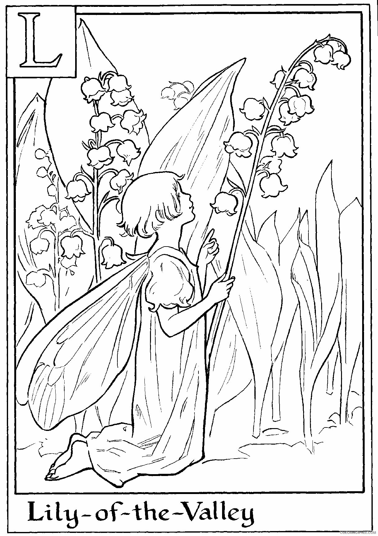 Alphabet Fairies Coloring Pages Printable Sheets Flower Fairies 1 2021 a 4865 Coloring4free