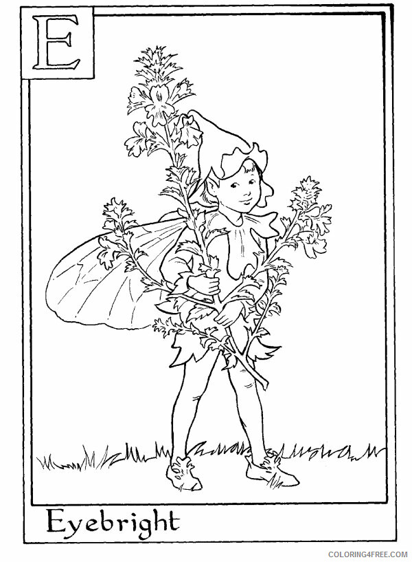 Alphabet Fairies Coloring Pages Printable Sheets Letter E For Eyebright Flower 2021 a 4873 Coloring4free
