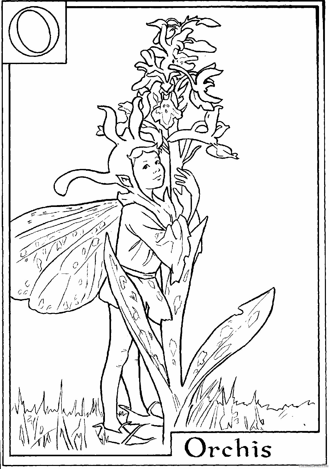 Alphabet Fairies Coloring Pages Printable Sheets The Flower Fairies Flower jpg 2021 a 4887 Coloring4free