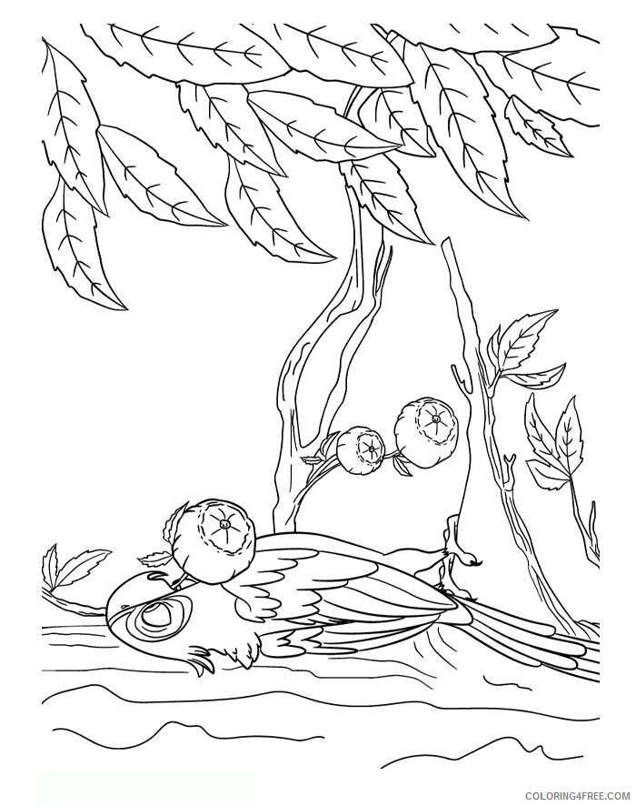 Amazon Rainforest Coloring Pages Printable Sheets Pin by Marcia Macera on 2021 a Coloring4free