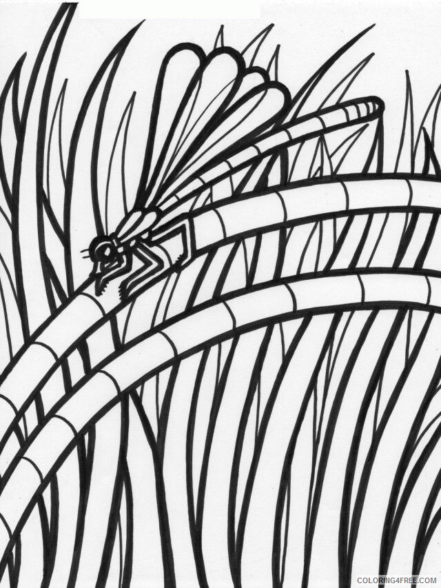 Amazon Rainforest Coloring Pages Printable Sheets Rainforest Animals 2021 a 5276 Coloring4free