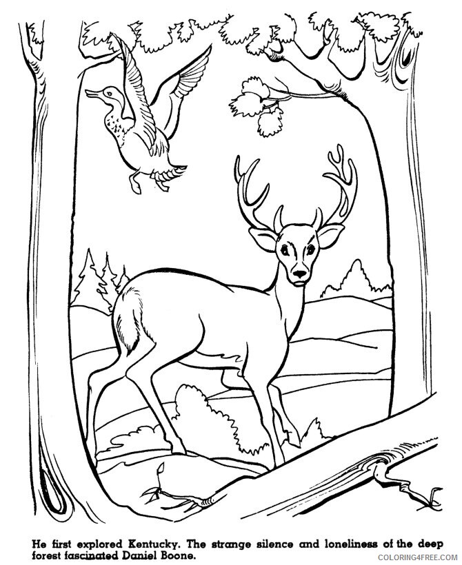 American History Coloring Pages Printable Sheets Daniel Boone history page 2021 a 5465 Coloring4free