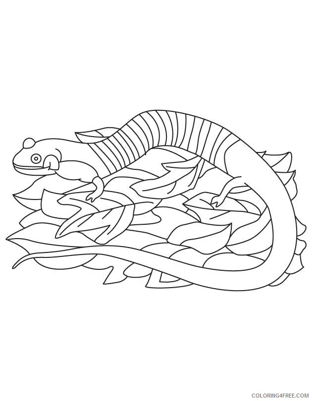 Amphibian Coloring Pages Printable Sheets Alabama State Amphibian Red Hills 2021 a 5582 Coloring4free