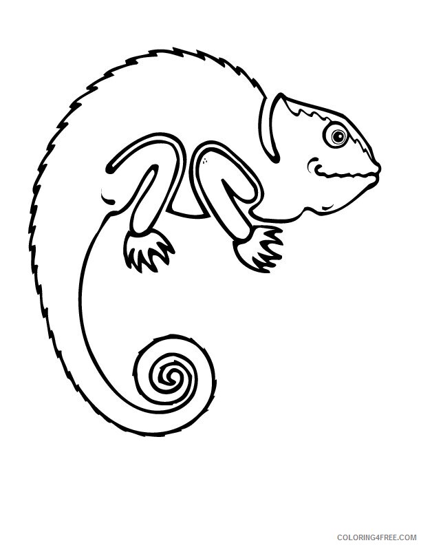 Amphibian Coloring Pages Printable Sheets Salamander Page jpg 2021 a 5591 Coloring4free