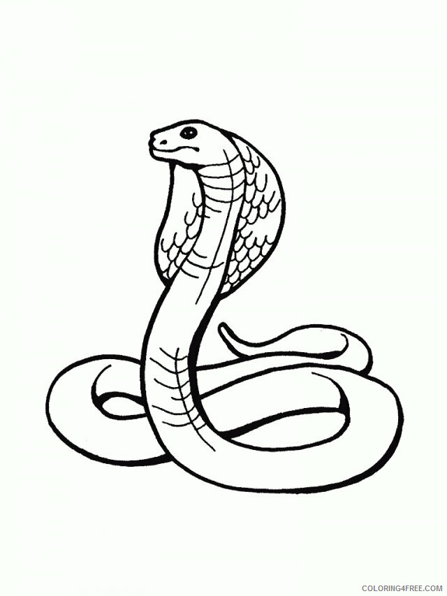 Anaconda Coloring Pages Printable Sheets Rattlesnake 31420 Label 2021 a 5703 Coloring4free