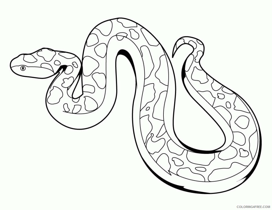 Anaconda Coloring Pages Printable Sheets Texas Rat Snake Animal Coloring 2021 a 5704 Coloring4free