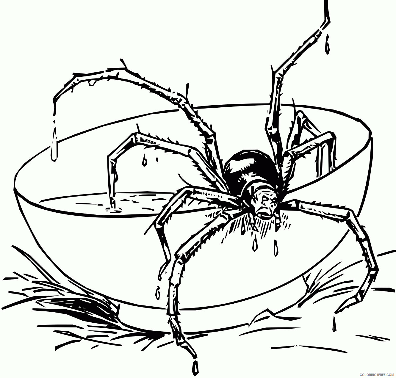 Anansi the Spider Coloring Page Printable Sheets Animal Spider Coloring 2021 a 5736 Coloring4free