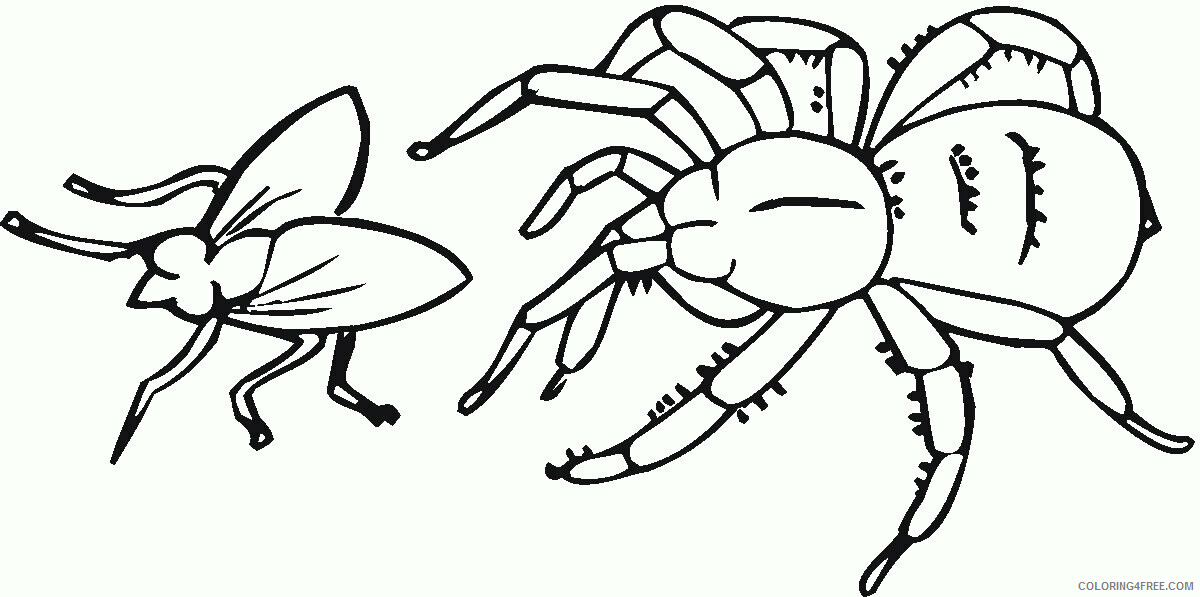 Anansi the Spider Coloring Page Printable Sheets Related Spider item 2021 a 5740 Coloring4free