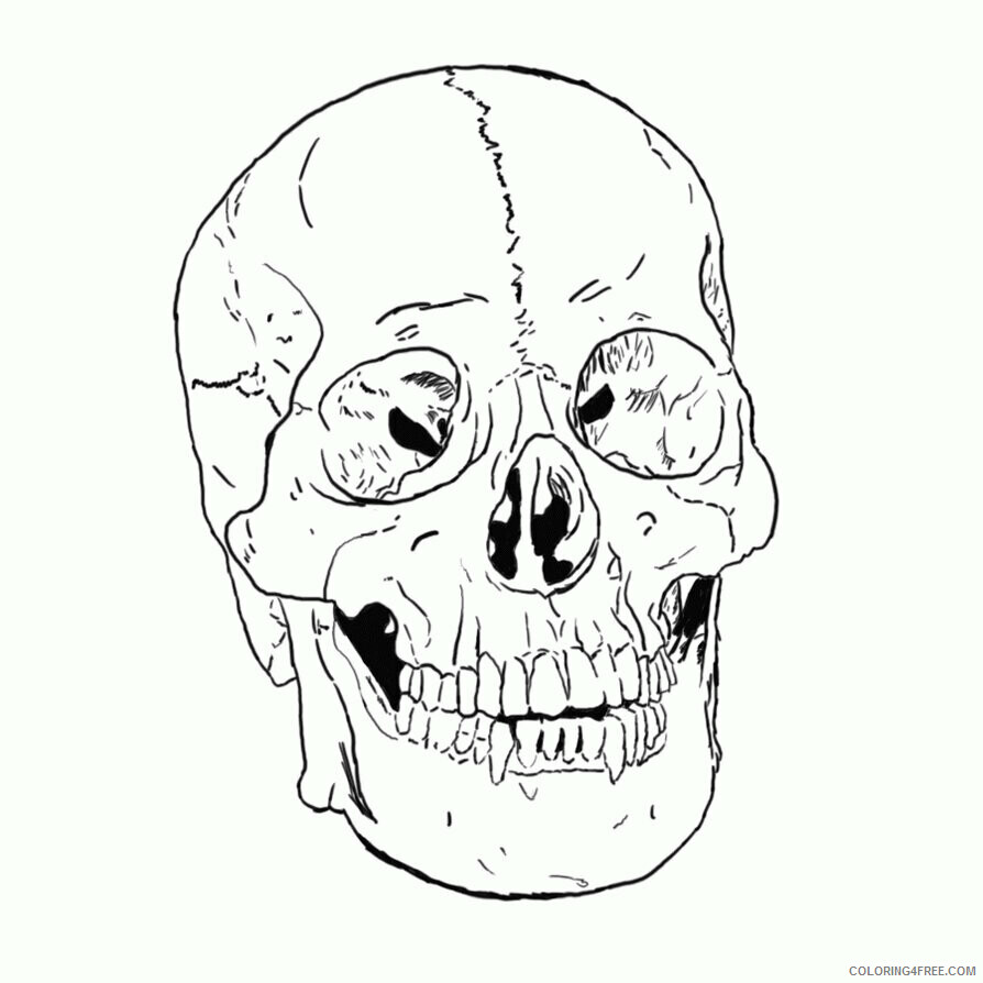 Anatomy and Physiology Coloring Pages Free Printable Sheets 2021 a 5769 Coloring4free