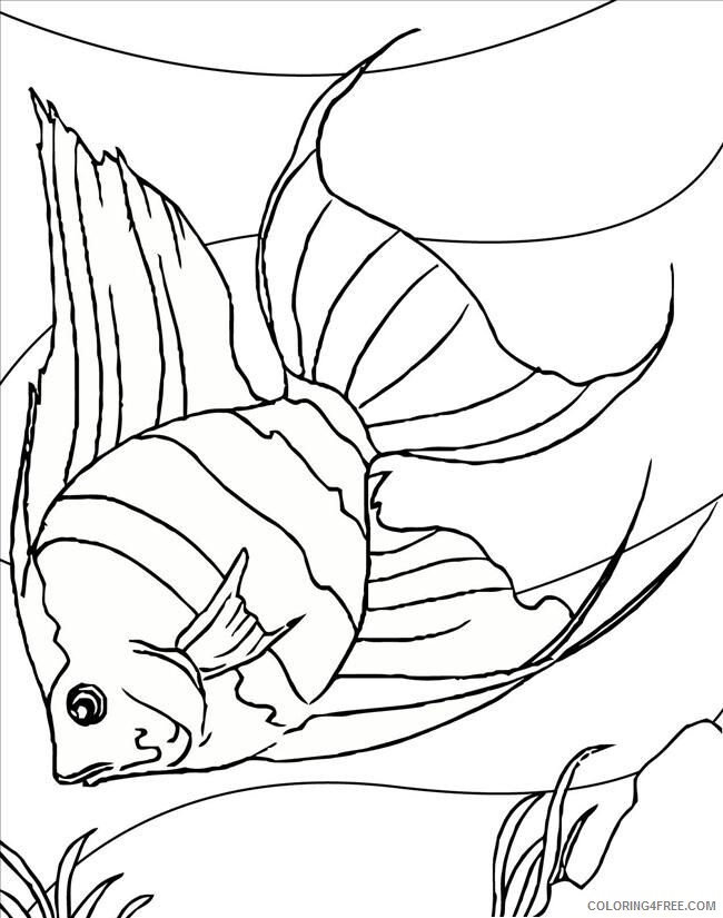 Angel Fish Drawing Printable Sheets Angelfish Ink Animals 2021 a 6036 Coloring4free