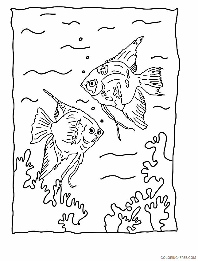 Angel Fish Drawing Printable Sheets Free Printable Fish Pages 2021 a 6038 Coloring4free