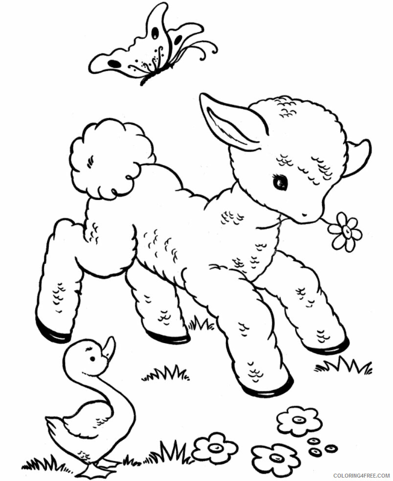 Animal Babies Coloring Pages Printable Sheets Animals Baby Coloring 2021 a 0037 Coloring4free