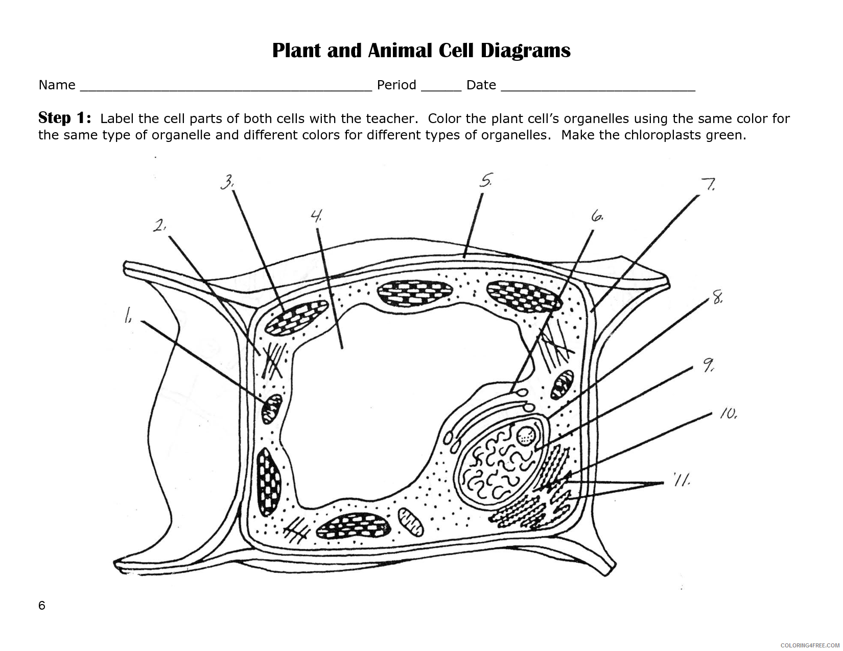 Animal Cell Coloring Page Printable Sheets Animal Cell Blank Animal Cell 2021 a 0059 Coloring4free