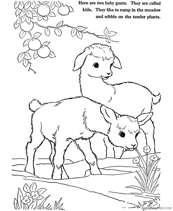 Animal Color By Number Printable Sheets Farm Animal Goats 2021 a 0103 Coloring4free