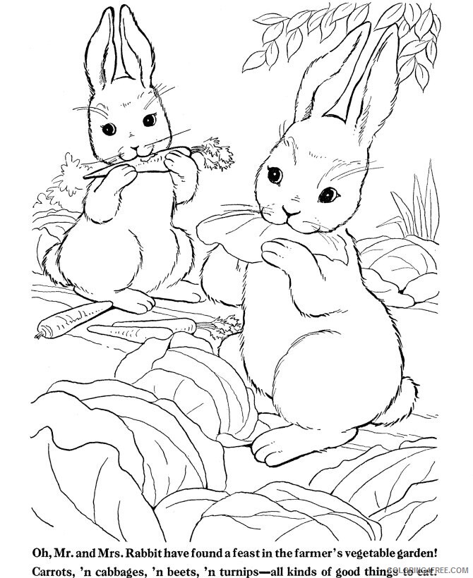 Animal Color By Number Printable Sheets Farm Animal Rabbit 2021 a 0104 Coloring4free